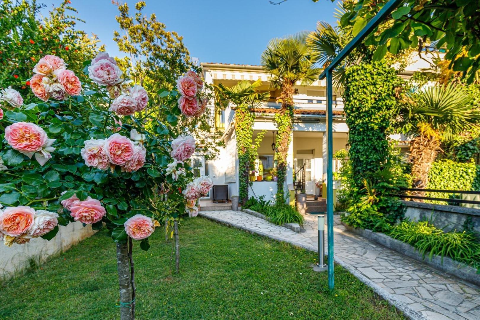 Apartment Jozefina Luxury, 100 M From The *